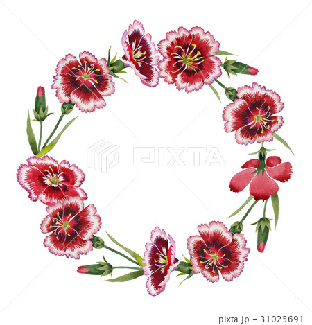 Wildflower carnation flower wreath in a watercolor 31025691