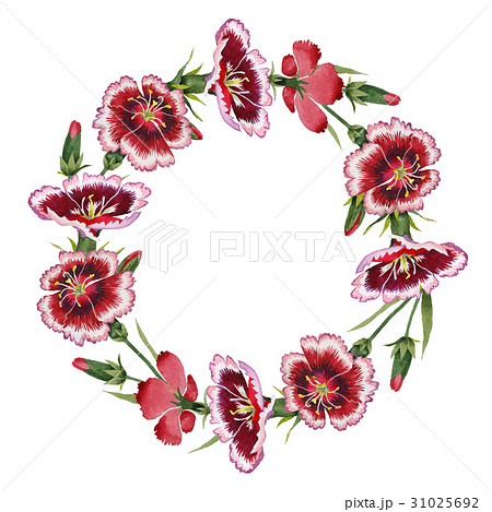 Wildflower carnation flower wreath in a watercolor 31025692