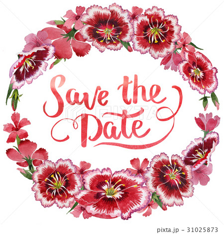 Wildflower carnation flower frame in a watercolor 31025873