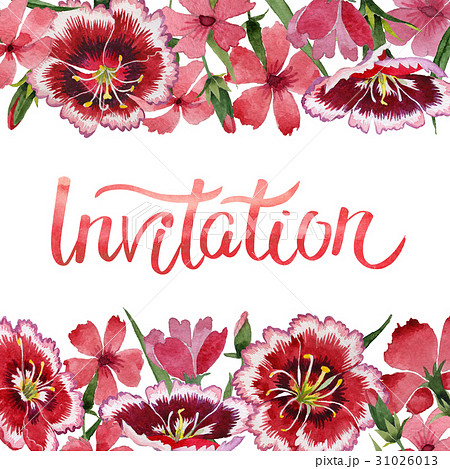 Wildflower carnation flower frame in a watercolor 31026013