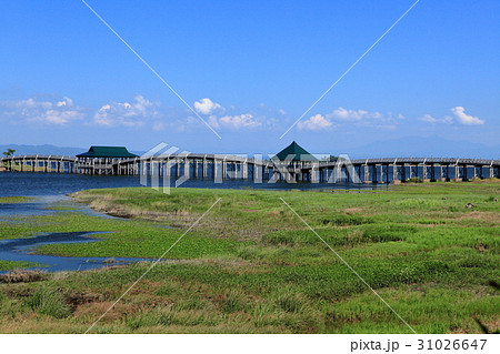 鶴の舞橋 鶴の舞橋 31026647
