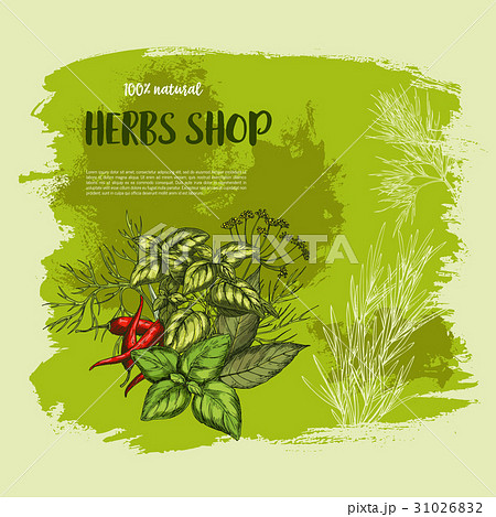 Vector poster of spices and herbs for shop Vector poster of spices and herbs for shop 31026832