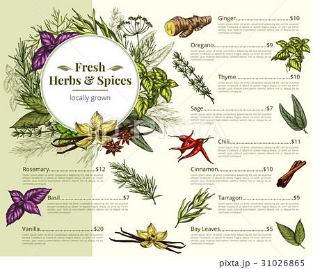 Vector menu price for spices and herbs shop Vector menu price for spices and herbs shop 31026865