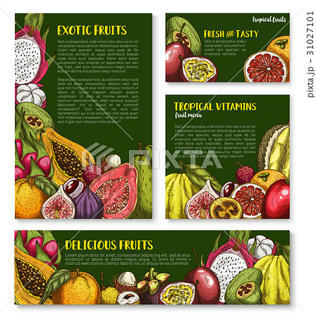 Vector templates of exotic fresh tropical fruits Vector templates of exotic fresh tropical fruits 31027101
