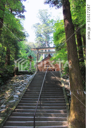 伊野天照皇大神宮参道(福岡県) 伊野天照皇大神宮参道(福岡県) 31027287