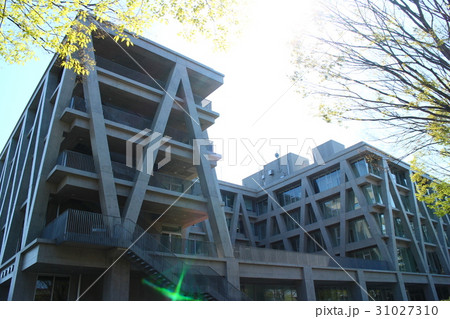 東北大学 青葉山キャンパス 工学部 人間・環境系 教育研究棟 Tohoku University 東北大学 青葉山キャンパス 工学部 人間・環境系 教育研究棟 Tohoku University 31027310