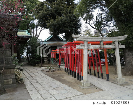 品川神社　 阿那稲荷神社 31027803
