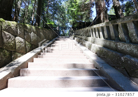 日光東照宮 奥宮 参道の写真素材