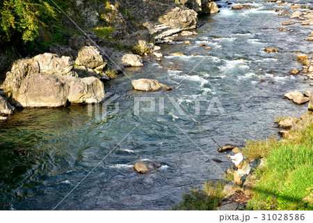 郡上八幡　吉田川風景　釣り人 31028586