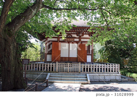智清寺 31028999