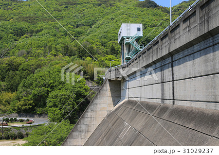 香川県小豆島町 殿川ダム 香川県小豆島町 殿川ダム 31029237