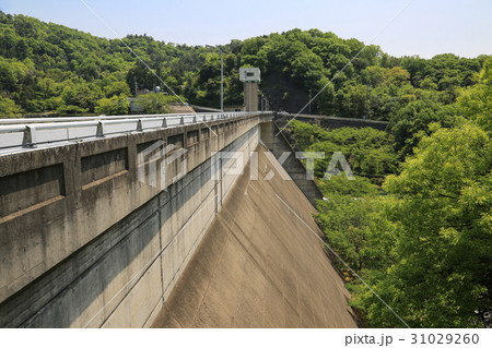 香川県小豆島町 殿川ダム 香川県小豆島町 殿川ダム 31029260