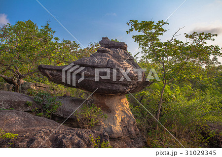 amazing natural stone sculpture 31029345