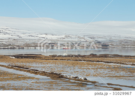 Iceland winter season snow covered landscape 31029967