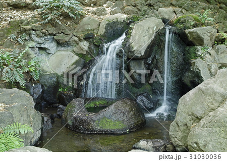 遅野井の滝と善福寺池(杉並区) 遅野井の滝と善福寺池(杉並区) 31030036