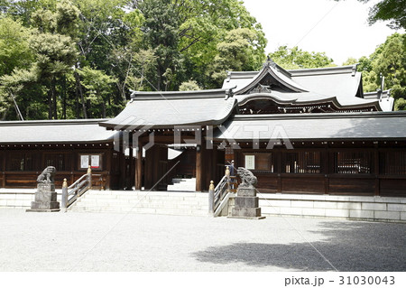 井草八幡宮（杉並区） 31030043