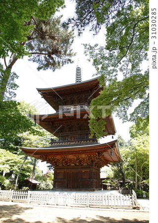 豪徳寺（三重塔） 31030285