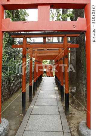 花園稲荷神社 上野公園 の写真素材