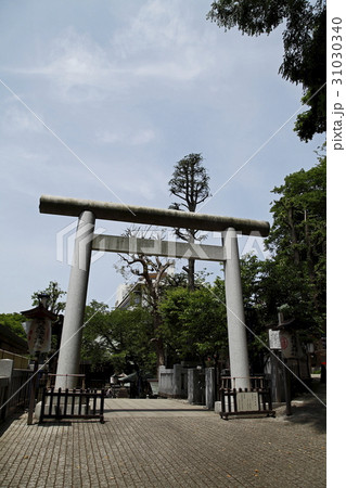 五條天神社(上野公園) 五條天神社(上野公園) 31030340