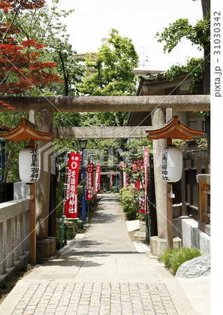 花園稲荷神社（上野公園） 31030342
