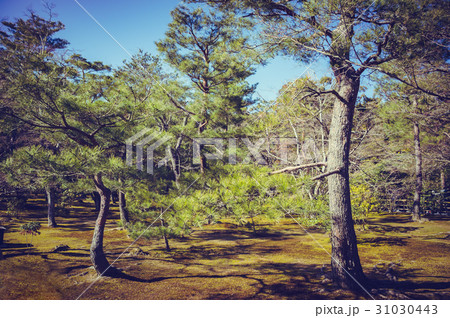 Landscape of nature background. Summer day Landscape of nature background. Summer day 31030443