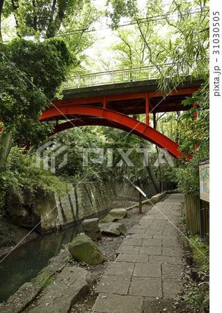 等々力渓谷（世田谷区） 31030505