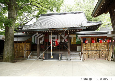 等々力不動尊（等々力渓谷：世田谷区） 31030511