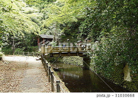 利剣の橋（等々力渓谷：世田谷区） 31030668