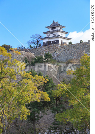 丸亀城 -石垣の名城・現存十二天守- 丸亀城 -石垣の名城・現存十二天守- 31030670