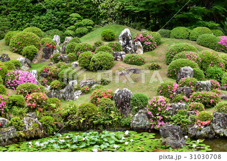 名園　井伊家菩提寺　龍潭寺 31030708