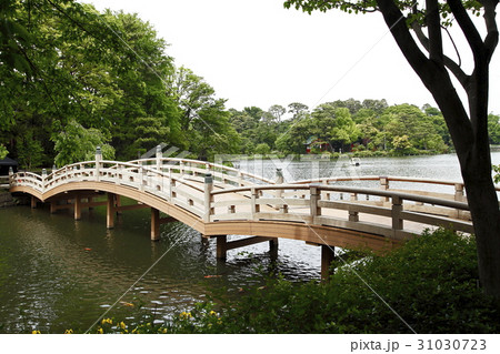 洗足池（三連太鼓橋：南千束） 31030723