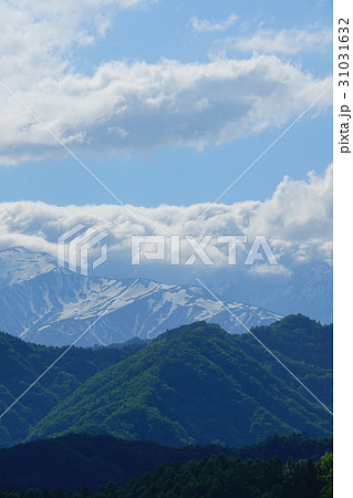北アルプス　長野 中条 31031632