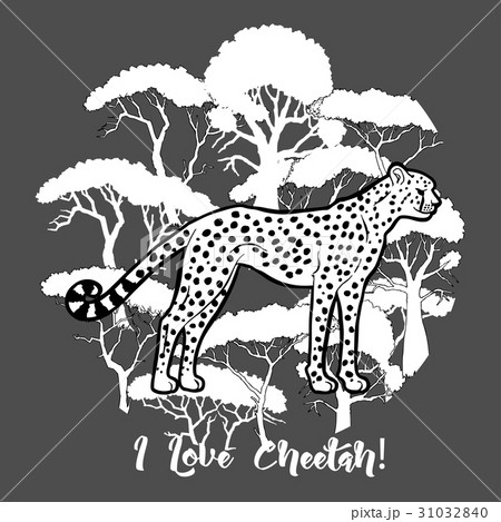 Cheetah and savanna trees print 31032840