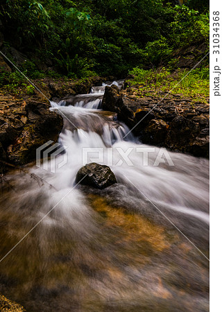 渓流、川、風景、沖縄。 31034368