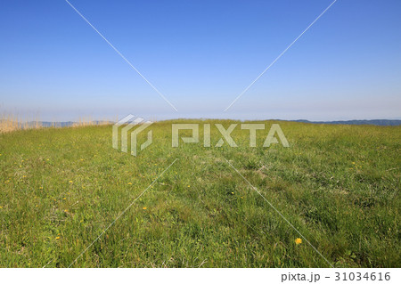 愛媛県四国中央市　塩塚高原の風景 31034616