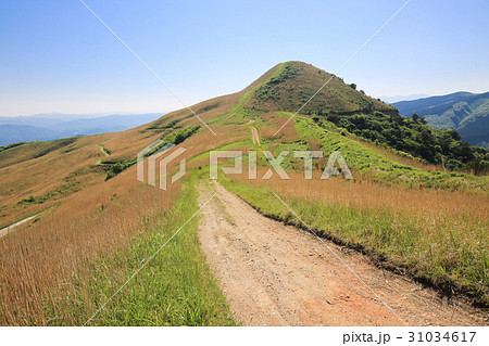 愛媛県四国中央市 塩塚高原の風景 愛媛県四国中央市 塩塚高原の風景 31034617