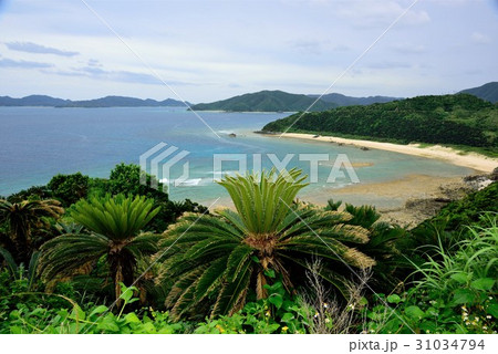 奄美　今井崎からの眺め01 31034794