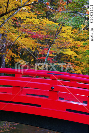紅葉 紅葉 31035111