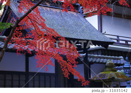 紅葉 紅葉 31035142