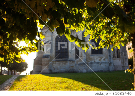 Green foliage. Catholic Church. Sunlight summer 31035440