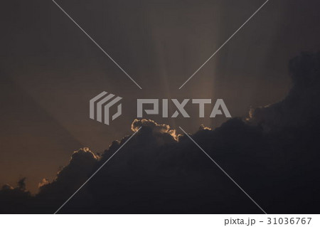 天使のストロー 31036767