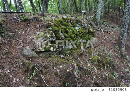 鎌刃城跡 31036908