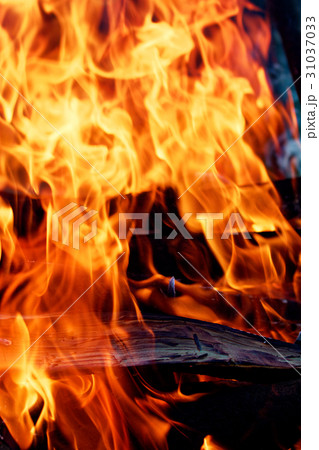 Wood burning in the fireplace closeup. 31037033