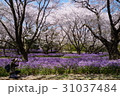 春、愛の詩 31037484