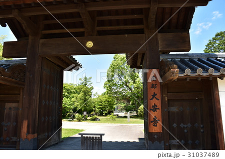 南都七大寺　大安寺 31037489