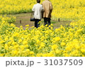まだまだ、いっしょだ菜 31037509