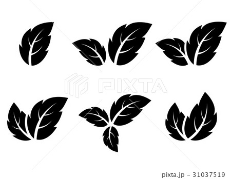 leaf icons set 31037519