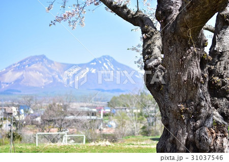 駒ケ岳 駒ケ岳 31037546