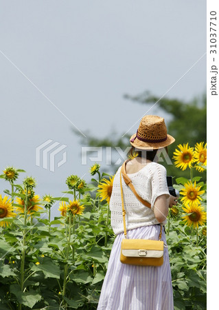 暑い夏でも楽しもう 31037710