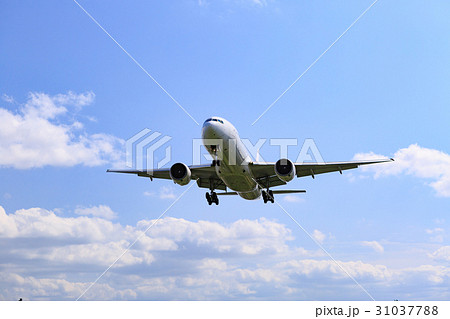 飛行機と青空 31037788
